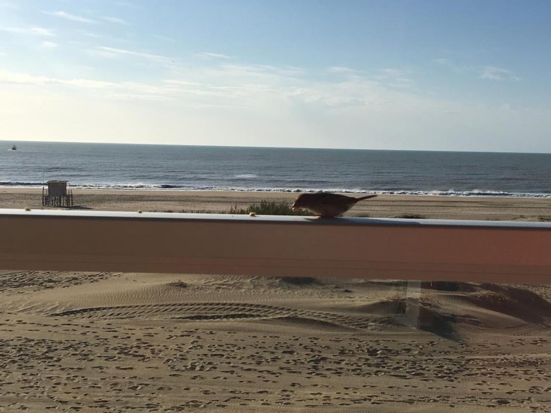 Mirasoles 20 Apartment Las Gaviotas Luaran gambar